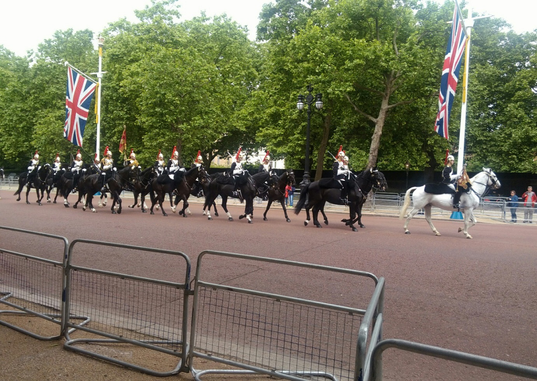 Buckingham Palace Royal Horses, London
